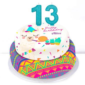 13th Birthday Party Llama Cake