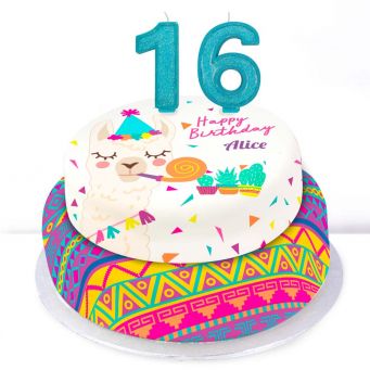 16th Birthday Party Llama Cake