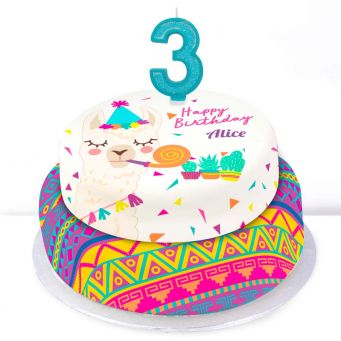 3rd Birthday Party Llama Cake
