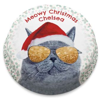 Christmas Santa Cat Cake
